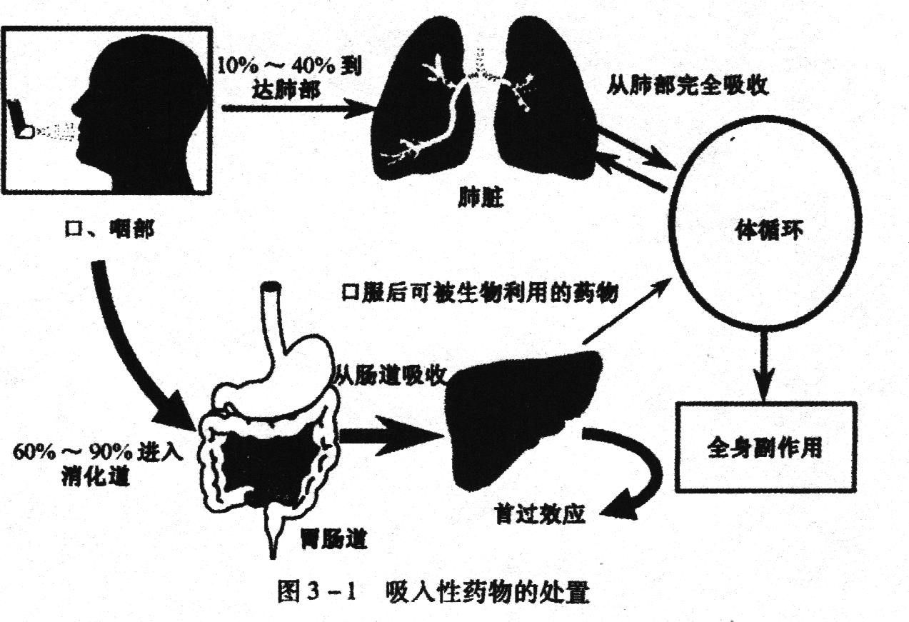 金年会客户端_生物电子学在药物传递系统中的角色是什么