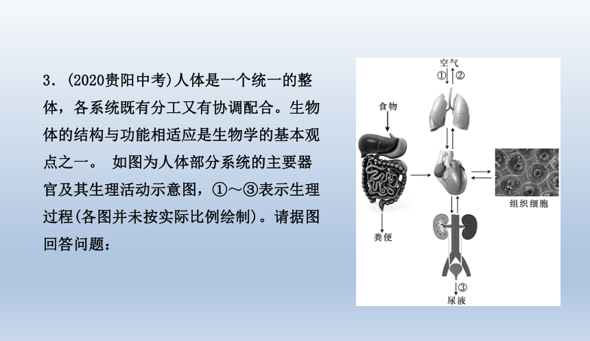 生物电子学在药物传递系统中的角色是什么